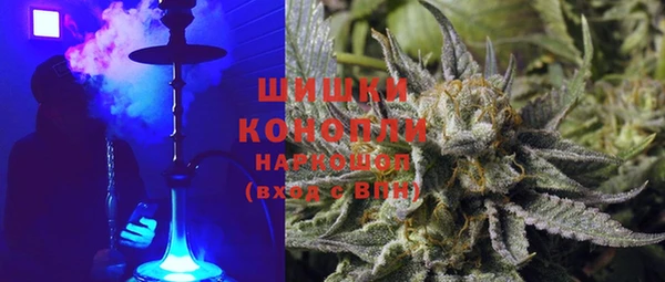 эйфоретик Бородино