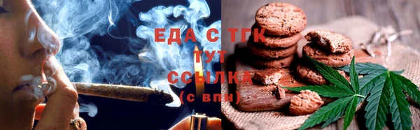 эйфоретик Бородино
