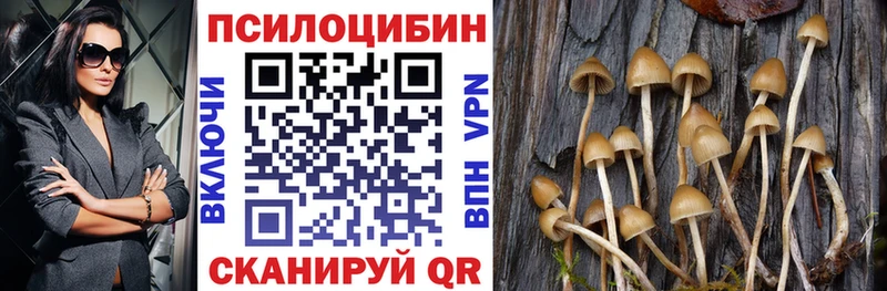 Купить закладки  Саяногорск  Псилоцибиновые грибы Psilocybe 