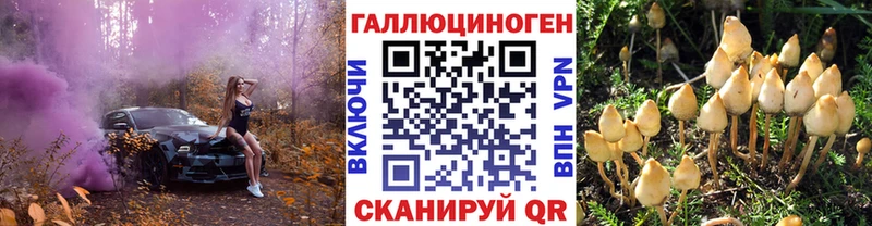 Галлюциногенные грибы Psilocybe Саяногорск